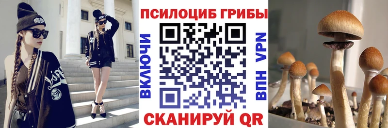 Галлюциногенные грибы мицелий  Купить  Кольчугино 